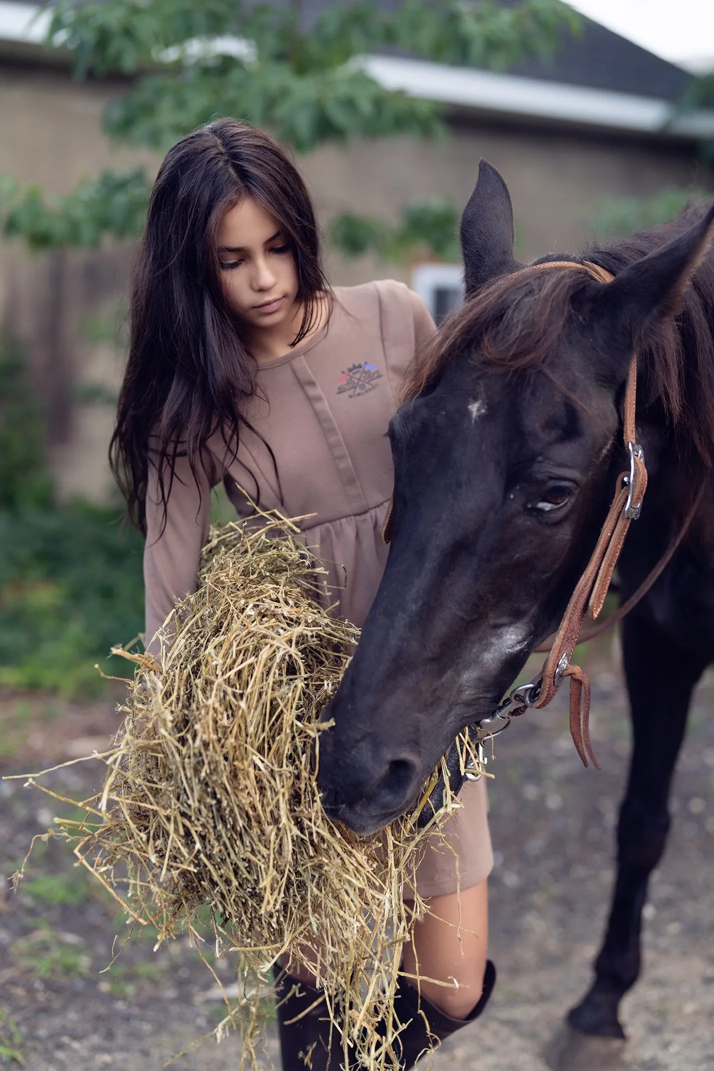 Bamboo Walnut Embroidered Crest Sweater Dress [Final Sale]